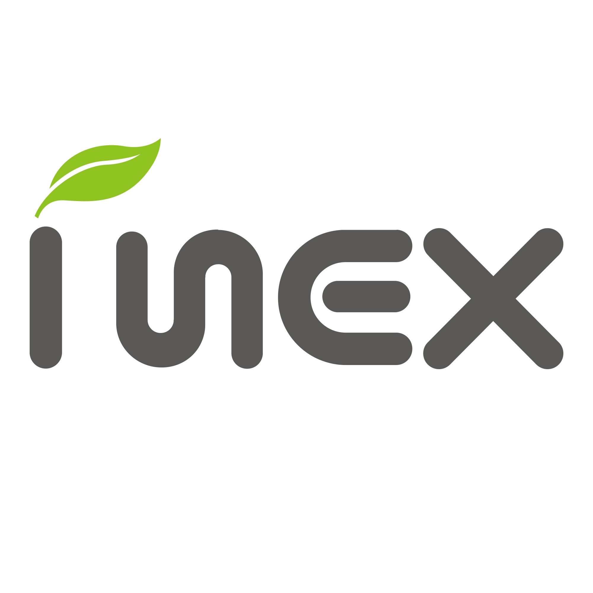 INEX logo
